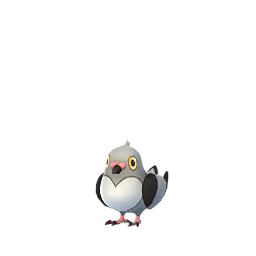 Sprite of Pidove from Pokémon GO