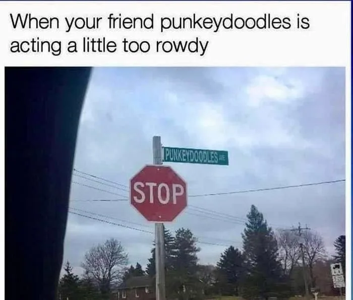 Street sign humor with "Punkeydoodles Ave" next to a stop sign. Caption jokes about a "rowdy" friend named Punkeydoodles