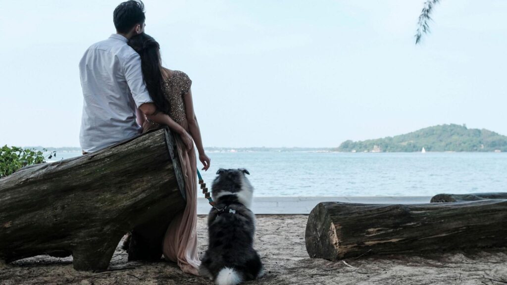 File photo of couple by the beach