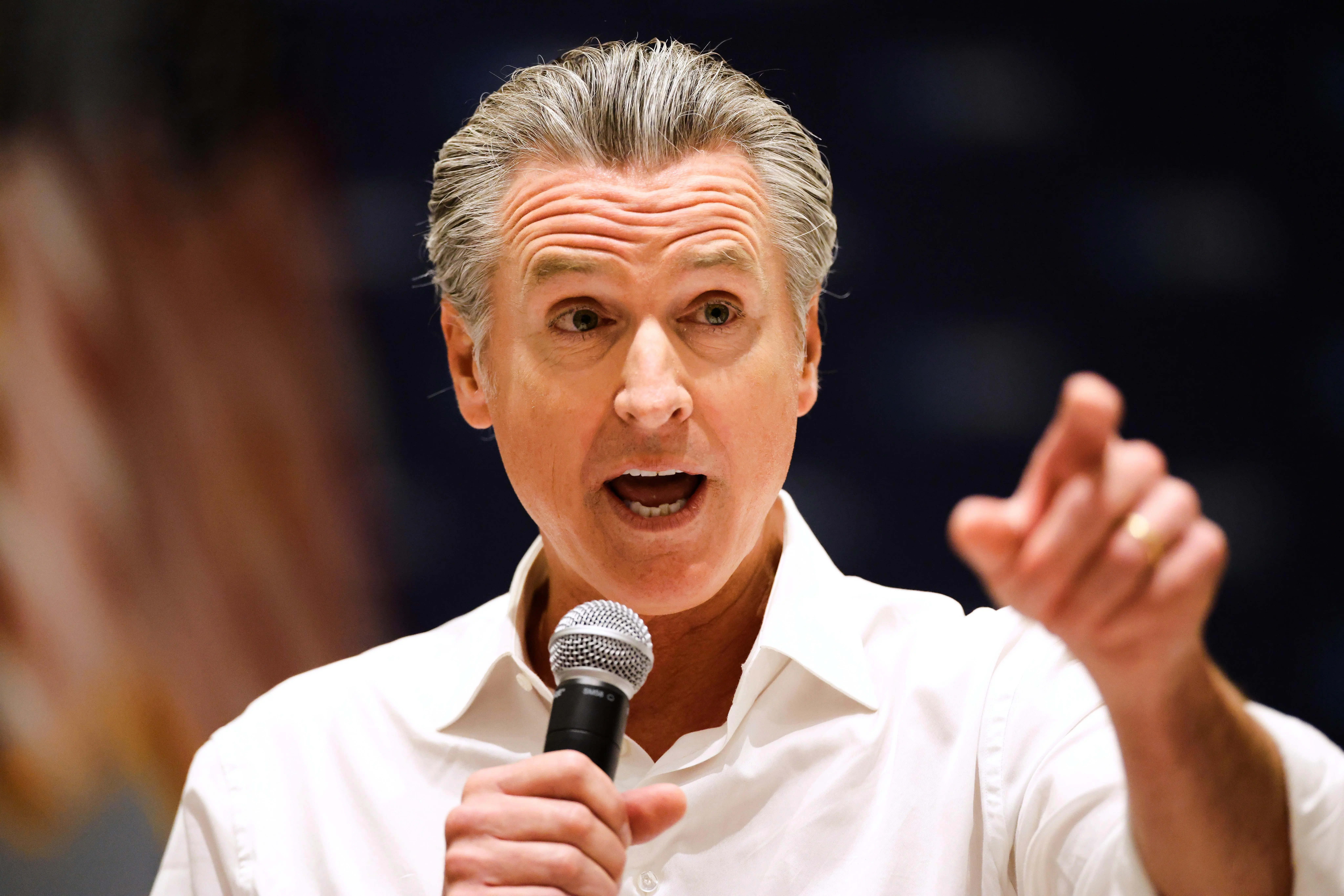 Election 2 28 newsom 84651 84305f 1 1