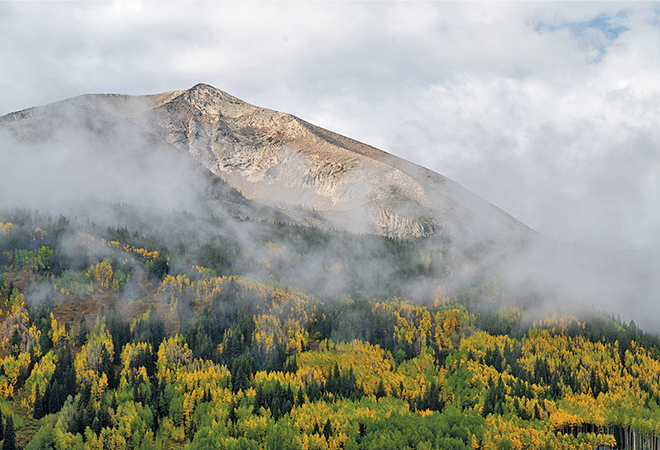 Editorial foggy mtn
