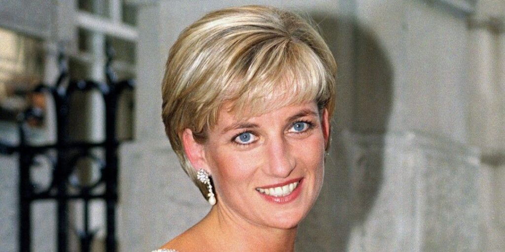 Princess diana crush social d88a199c3bbd496caf95582f1e8fb8d6