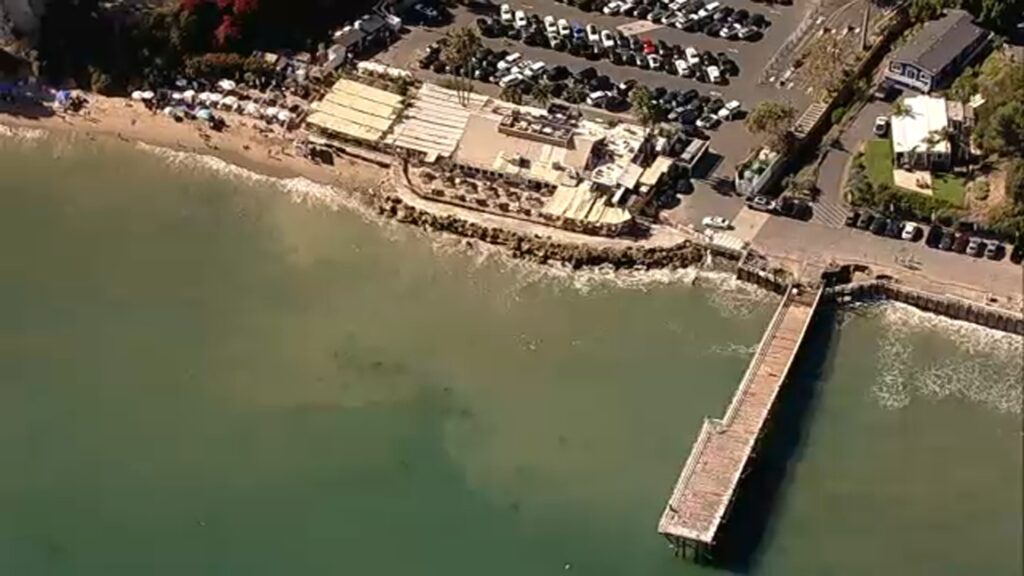 19908247 100426 kabc malibu shark tn img