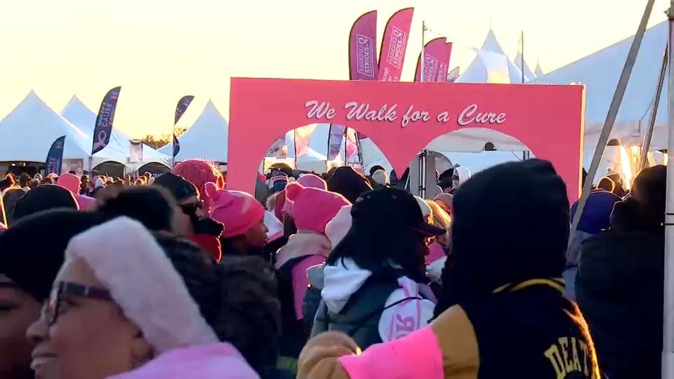 19950900 101826 wabc making strides img