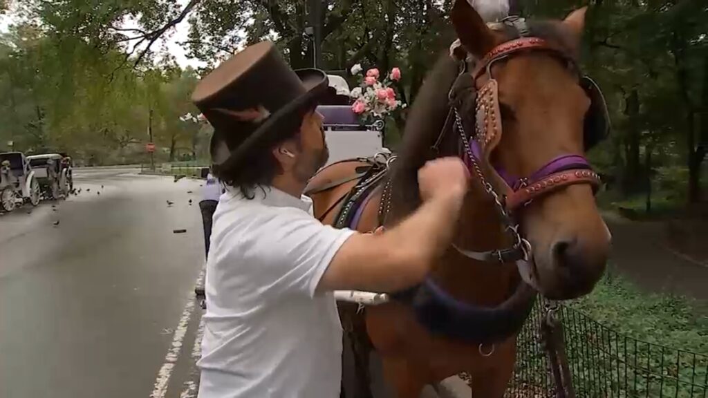 19970234 102226 wabc horse ban img