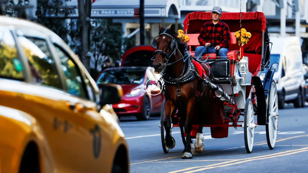 22met carriage horses mgvq videosixteenbynine3000
