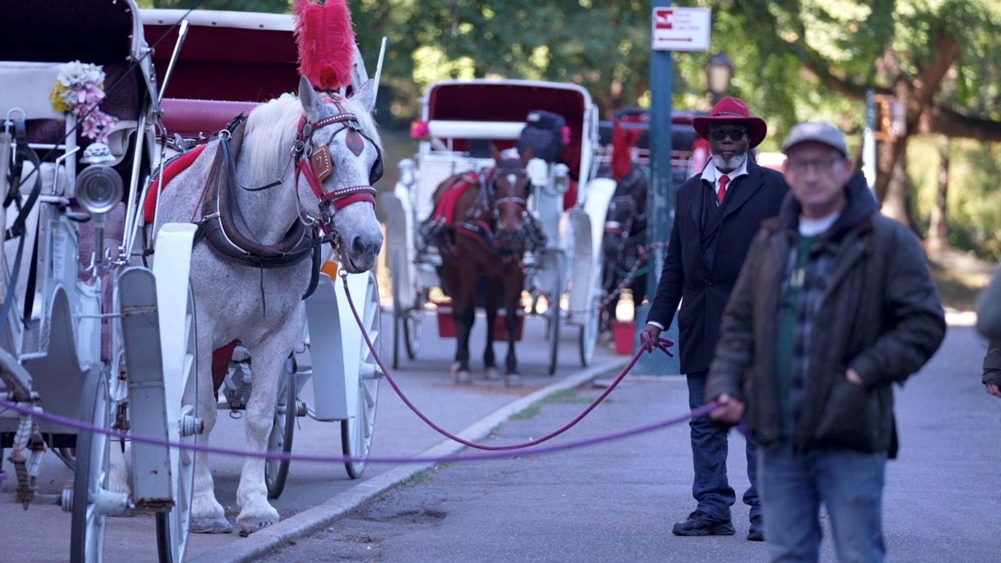 Two drivers stand next to their horse carriages