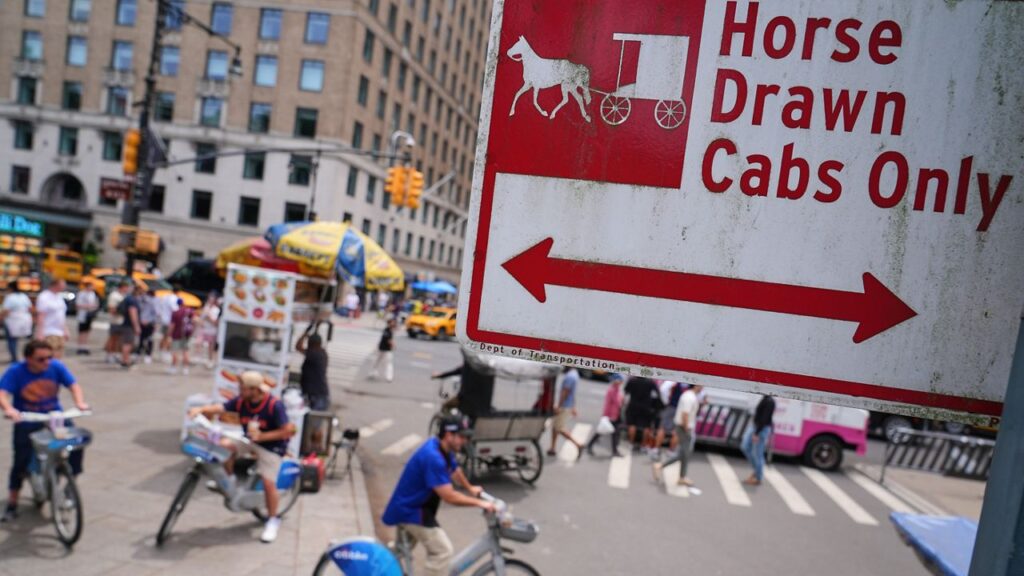 Central park horse carriages ap26169664895109