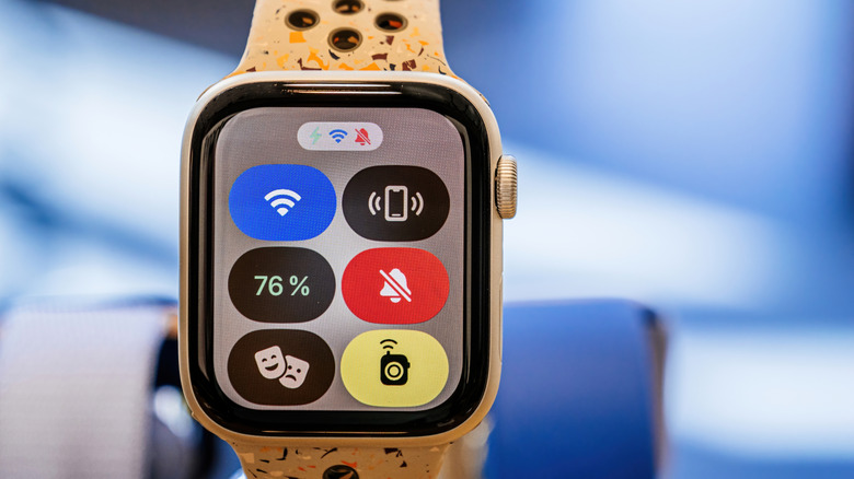 Apple Watch displaying its Control Center.