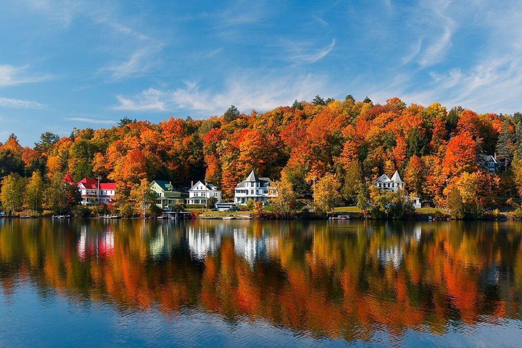 Shutterstock 1119415718 s3cdn